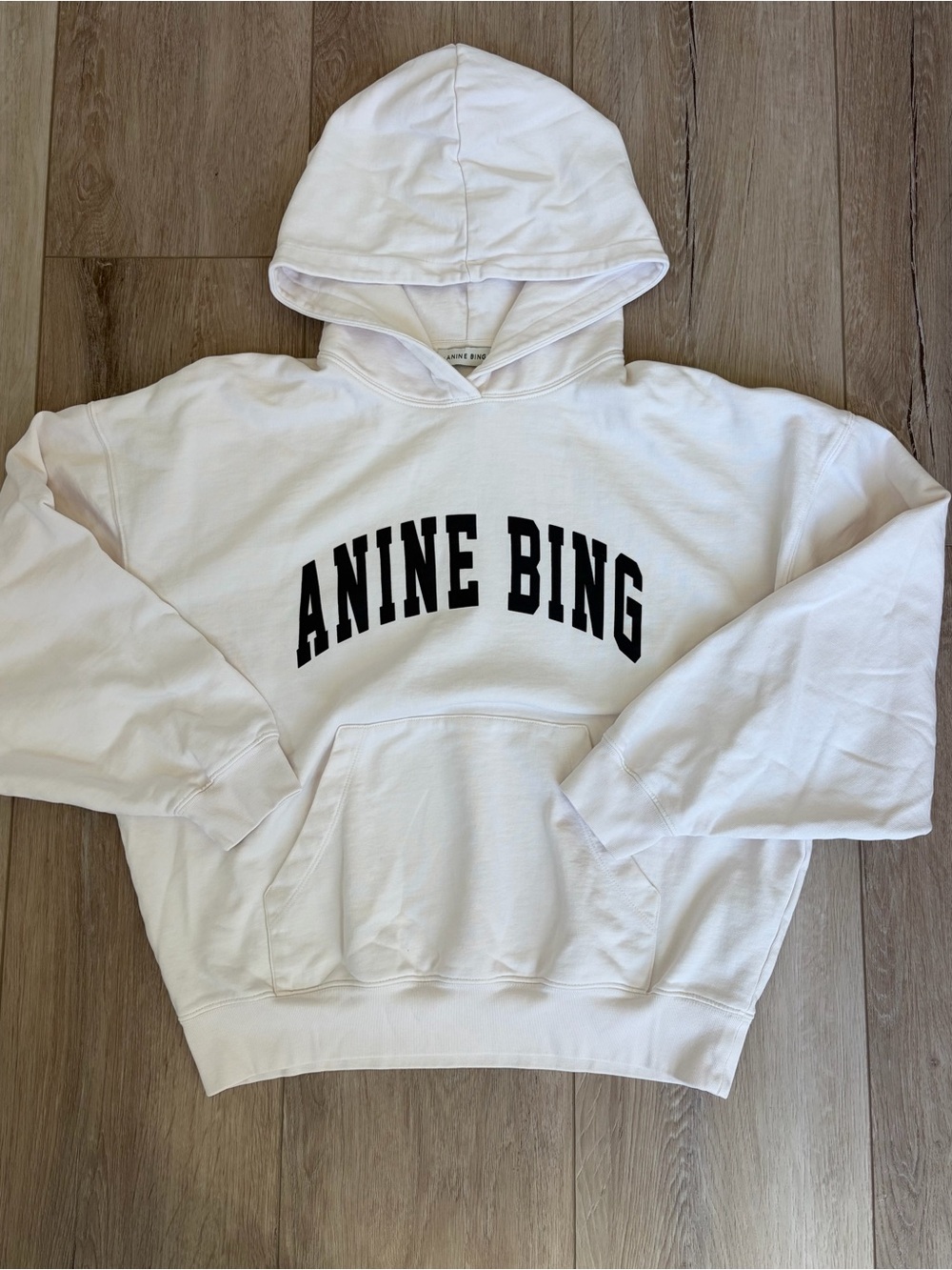 Anine Bing Harvey Hoodie